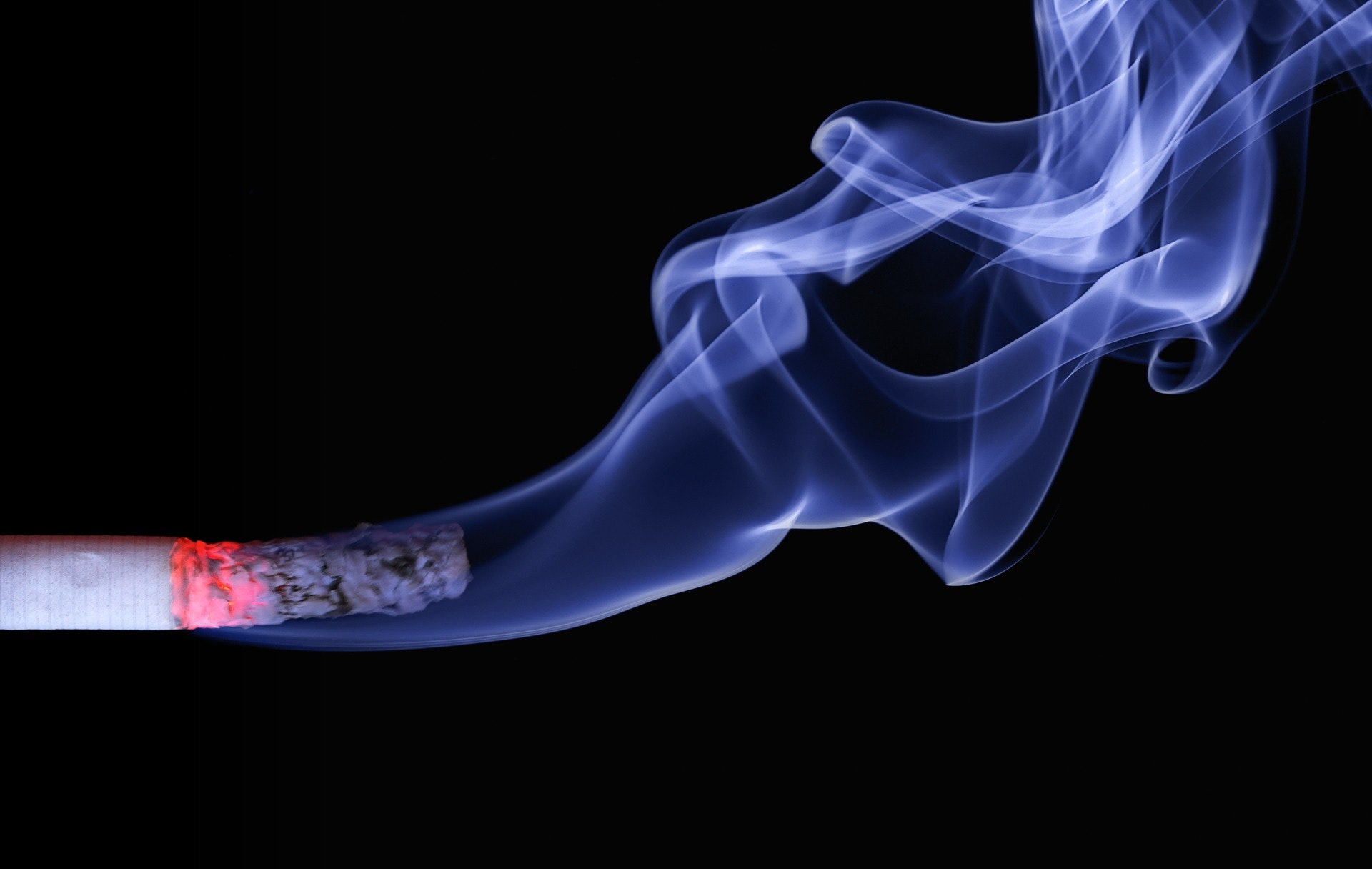 La cigarette (nicotine) : ses effets sur l'organisme